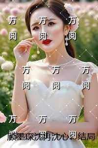 顾墨琛沈冉沈心