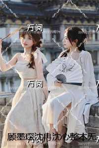 顾墨琛沈冉沈心