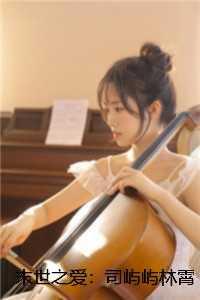 司屿屿林霄